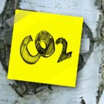 co2, carbon dioxide, carbon, oxygen, nature, tree, bark, birch, memo, note